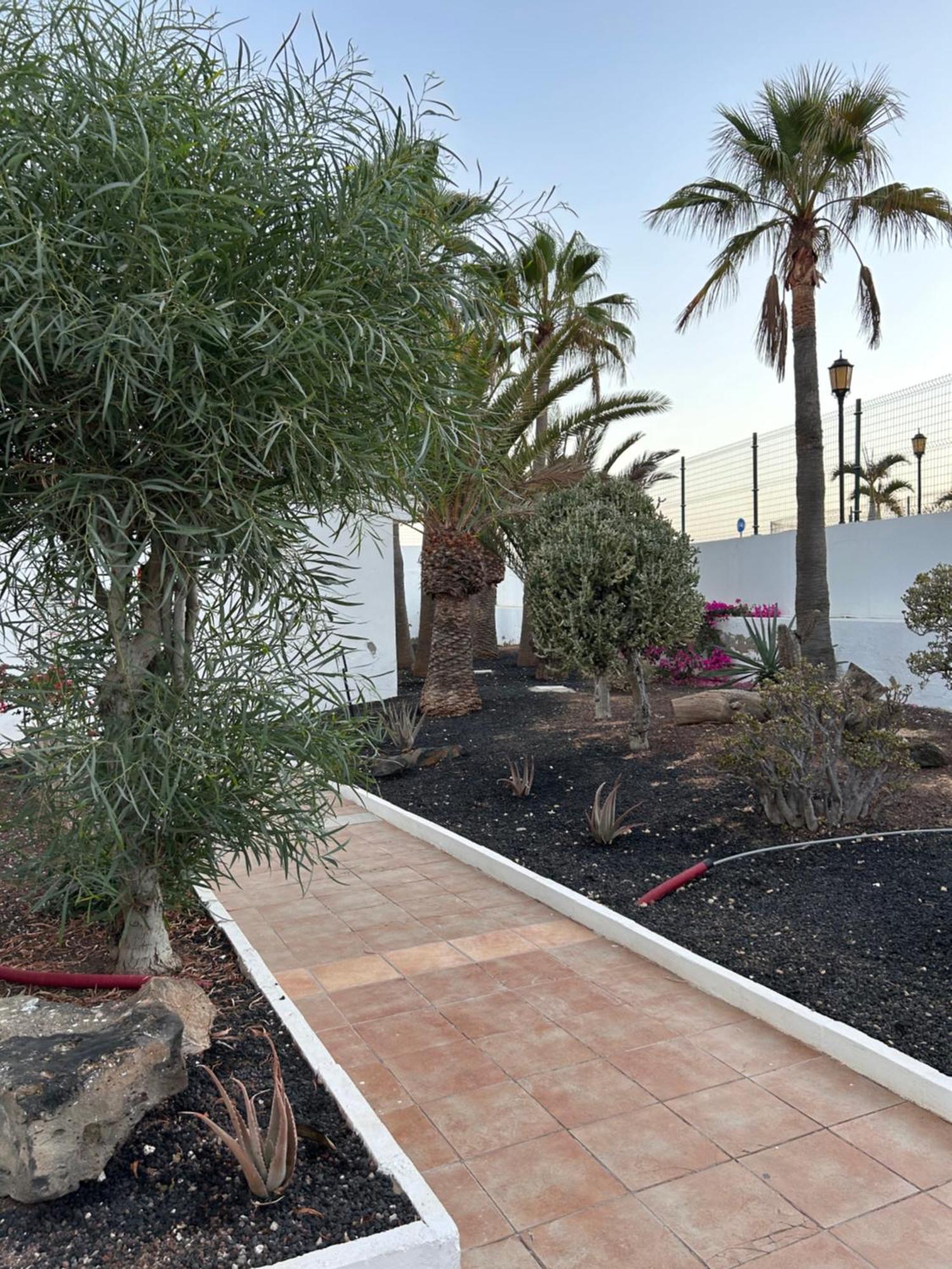 Casa Emma Lägenhet Corralejo Exteriör bild